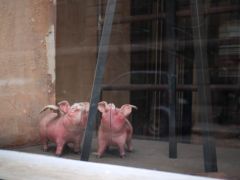 Les cochons du cartographe, galerie Vivienne, Paris